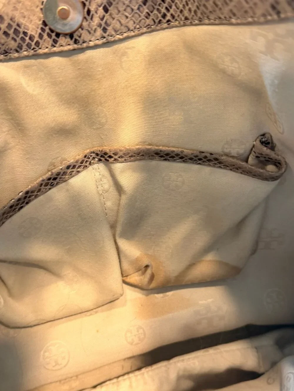 Tory Burch Catalina Python Embossed Hobo bag